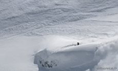 Humor -  Fun Sport Ski Free Ride Fun Win 