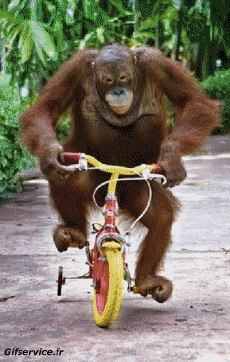 Boris Johnson-Humor -  Fun Morphing - Sehen Sie aus wie People - Vip People Serie 03 Boris Johnson