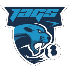 Sports HandBall - Clubs - Logo Austria Voslauer Jags 