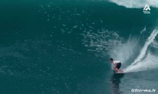 Humor - Fun Deportes Surf Fun - Win 