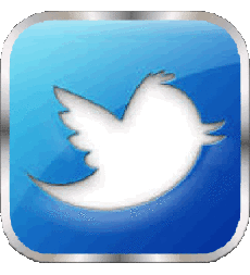 Multimedia Computadora - Internet Twitter 