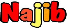 Prénoms MASCULIN - Maghreb Musulman N Najib 