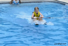 Humor -  Fun Tiere Hunde 02 