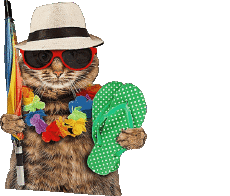 Messages Anglais Happy Holidays Fond Transparent 30 