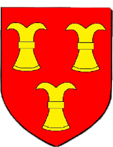 Banderas Francia Departamentos - Ciudades 09 LAROQUE D OLMES 