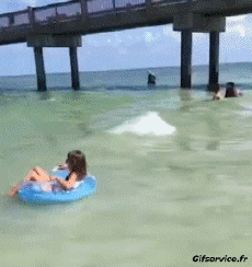 Humor - Fun Lugares Bord de Mer 