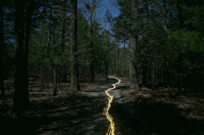 Humor -  Fun GIF Artists Lucea Spinelli 