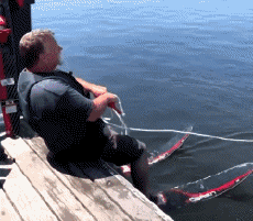 Humor -  Fun Sport Wasserski fahren Fail 