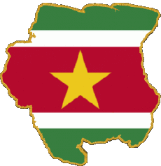 Bandiere America Suriname Carta Geografica 