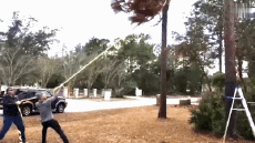 Umorismo -  Fun PERSONE Boscaiolo - Legname ! Fail 