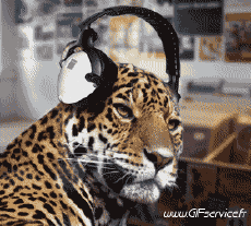 Umorismo -  Fun Animali Pantere 01 