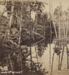 Humor - Fun Efectos 3d Stéreoscopique Wiggle 