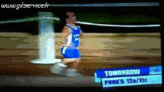 Humor -  Fun Animals Camels 01 