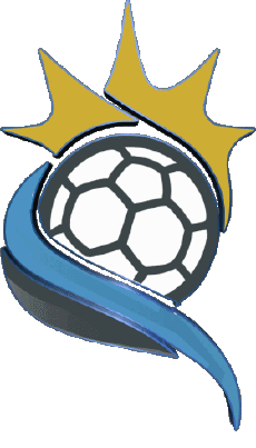 Sports HandBall  Equipes Nationales - Ligues - Fédération Amériques Argentine 