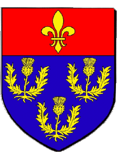 Drapeaux France Départements - Villes 45 PITHIVIERS 