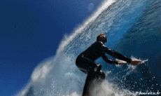 Humor -  Fun Sport Surf Fun - Win 