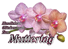 Messages German Herzlichen Glückwunsch zum Muttertag 05 