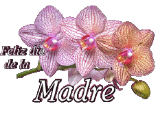 Messages Espagnol Feliz día de la madre 05 