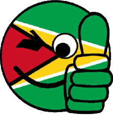 Fahnen Amerika Guyana Smiley - OK 