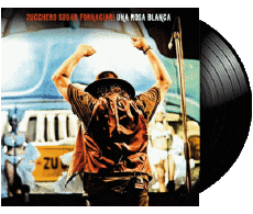 Una rosa blanca-Multi Media Music Pop Rock Zucchero Una rosa blanca