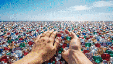 Humor -  Fun A.I Mix Dream Ocean 