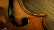 Umorismo -  Fun Effetti 3d Stéreoscopique Wiggle 