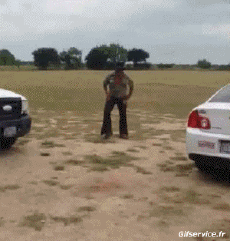 Humor -  Fun Animals Horses Serie 02 