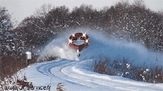 Humor -  Fun Transport Trains - Metro Fun - Win 