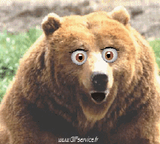 Humor - Fun Animales Oso 01 