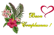 Messages Italian Buon Compleanno Floreale Transparent Background 007 