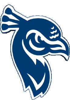 Sportivo N C A A - D1 (National Collegiate Athletic Association) S Saint Peters Peacocks 