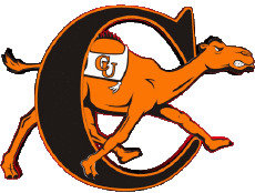 Deportes N C A A - D1 (National Collegiate Athletic Association) C Campbell Fighting Camels 