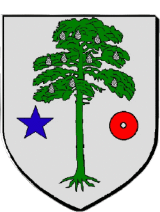 Blazon-Flags France Departments - Cities 64 LONS 