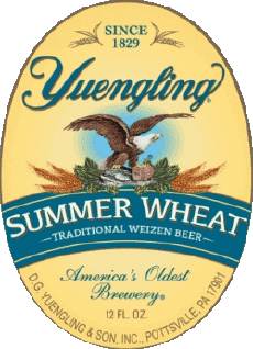 Bevande Birre USA Yuengling 