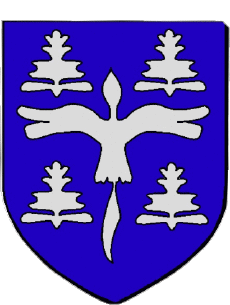 Blasón-Banderas Francia Departamentos - Ciudades 974 SALAZIE Blasón