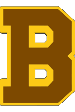 1932-Sport Eishockey U.S.A - N H L Boston Bruins 