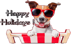 Messagi Inglese Happy Holidays Sfondo trasparente 03 