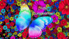 Mensajes Español Feliz Cumpleaños Mariposas Fondo animado 002 