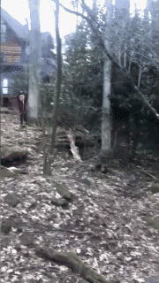 Humor -  Fun Sports Taggle rope Fun Win 