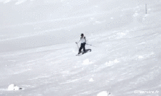 Humor -  Fun Sports Ski Fail Various 