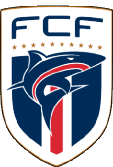 Sportivo Calcio Squadra nazionale  -  Federazione Africa Berretto Verde 