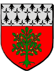 Drapeaux France Départements - Villes 44 CARQUEFOU 