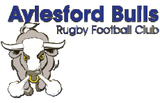 Sports Rugby Club Monde Logo Angleterre A Aylesford Bulls Girls RFC 
