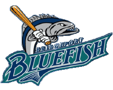 Sports Baseball U.S.A - ALPB - Atlantic League Bridgeport Bluefish 