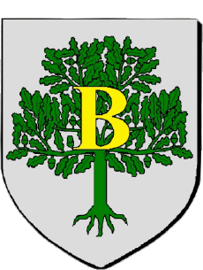 Blazon-Flags France Departments - Cities 81 LABRUGUIERE 