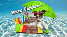 Messages Italien Buone Vacanze Fond Animé 002 