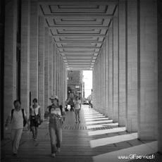 Humor -  Fun 3d Effekte Stéreoscopique Wiggle 