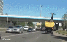 Humor -  Fun Transport Trucks Crash Fail Accident 