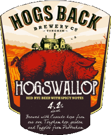 Bevande Birre UK Hogs Back 