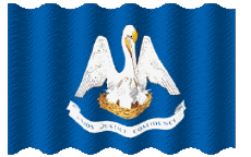 Bandiere America U.S.A - Stati Louisiana Sventola 